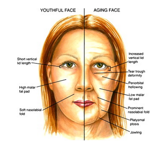 face age progression